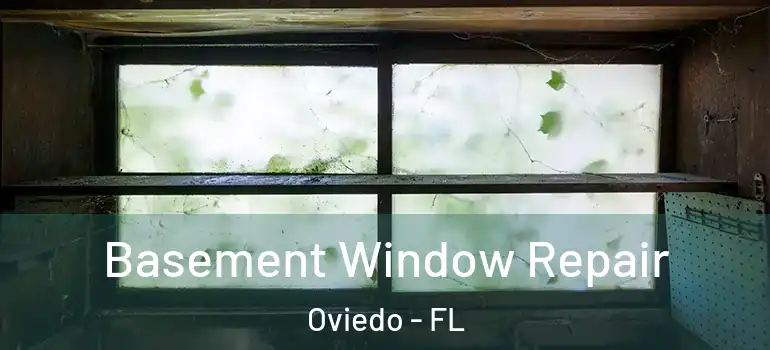  Basement Window Repair Oviedo - FL