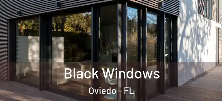  Black Windows Oviedo - FL