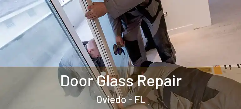  Door Glass Repair Oviedo - FL