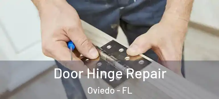  Door Hinge Repair Oviedo - FL