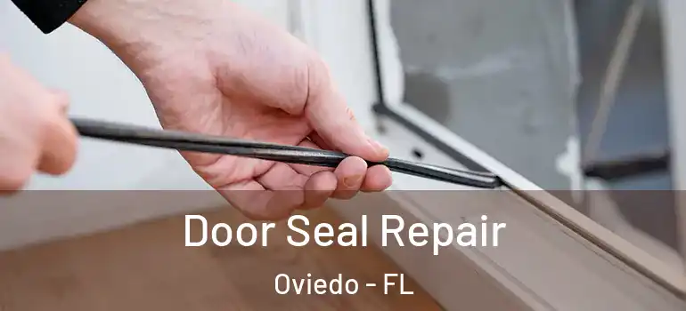  Door Seal Repair Oviedo - FL