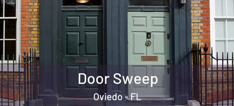  Door Sweep Oviedo - FL