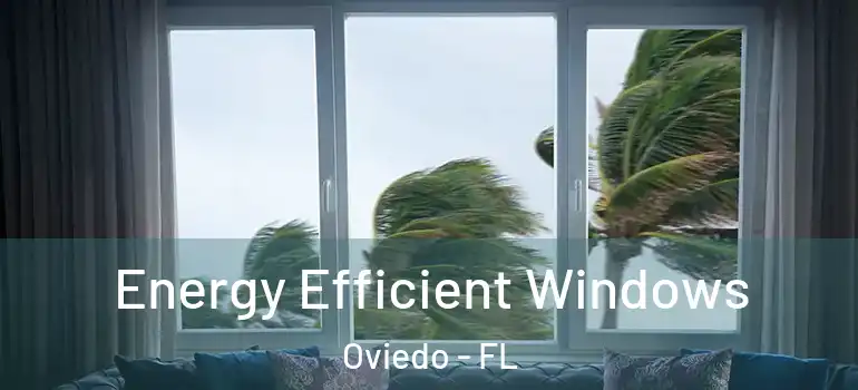  Energy Efficient Windows Oviedo - FL