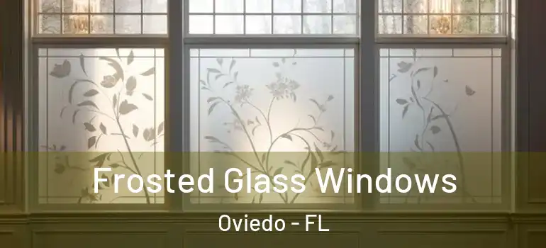  Frosted Glass Windows Oviedo - FL