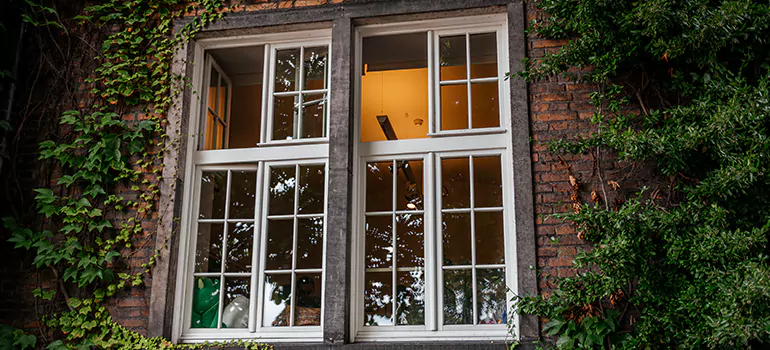 Energy Efficient Wood Windows in Oviedo, FL