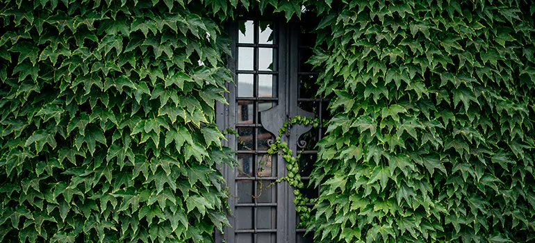 Garden Gate Repair in Oviedo, FL