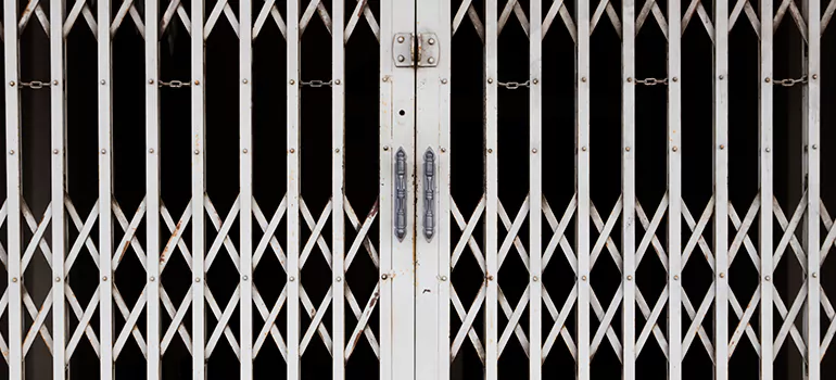Steel Line Garage Door Repairs in Oviedo, FL