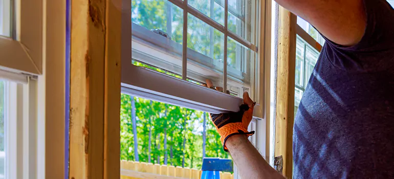 Decorative Window Film Services in Oviedo, FL