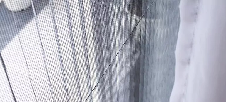 Fixing Screen Window Mesh in Oviedo, FL