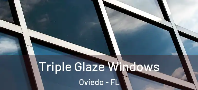  Triple Glaze Windows Oviedo - FL