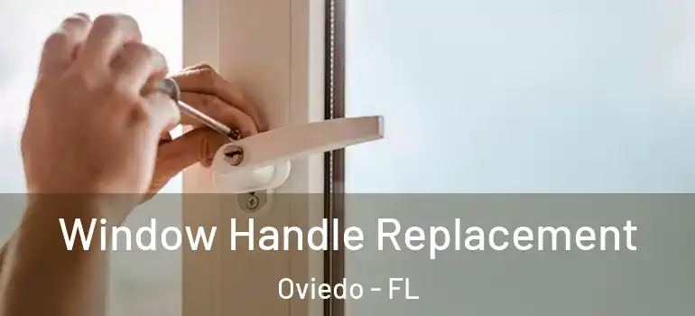  Window Handle Replacement Oviedo - FL