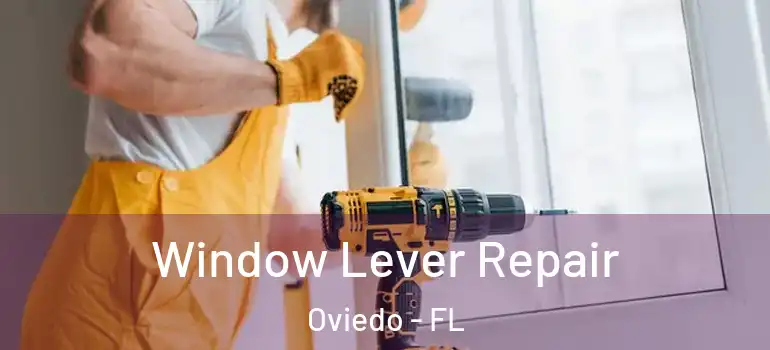 Window Lever Repair Oviedo - FL