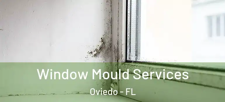  Window Mould Services Oviedo - FL