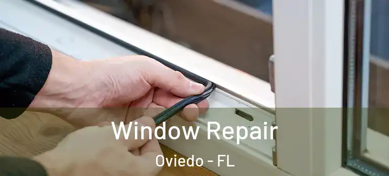  Window Repair Oviedo - FL