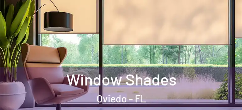  Window Shades Oviedo - FL