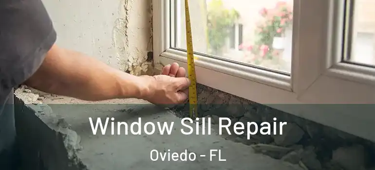  Window Sill Repair Oviedo - FL