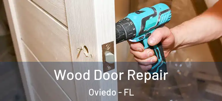  Wood Door Repair Oviedo - FL